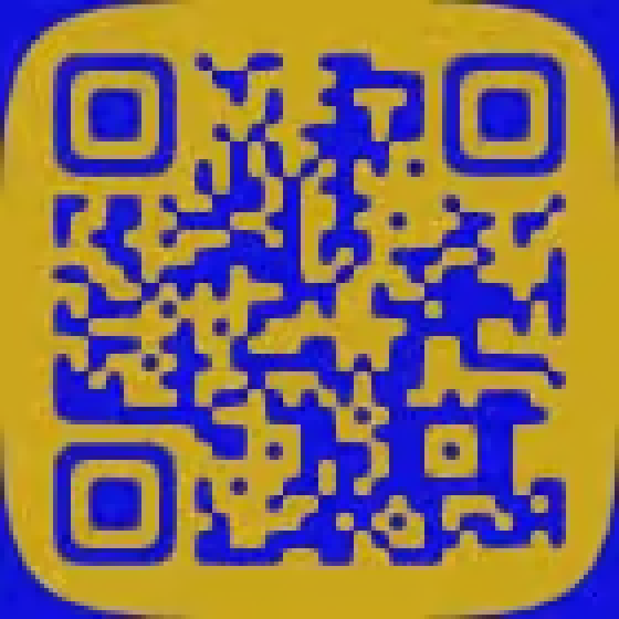 QR code for the Colleyville Lions Club Foundation giving page